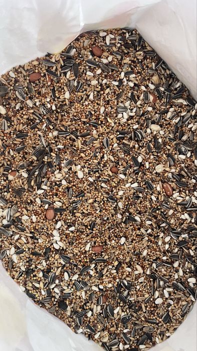 Mistura/Sementes/raçao Grandes Psitaculas Ring necks,deberianas,etc