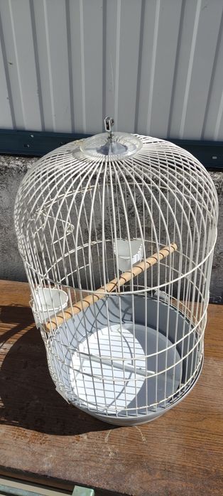 Bird Cage64752179387010121