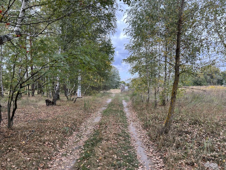 Продам ділянку 4Га в селі Жукин з лісом