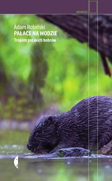 Pałace Na Wodzie. Tropem Polskich Bobrów Czarne Nowa Nieużywana
