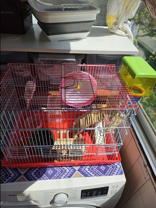 Gaiola  pássaros ou hamsters  completa