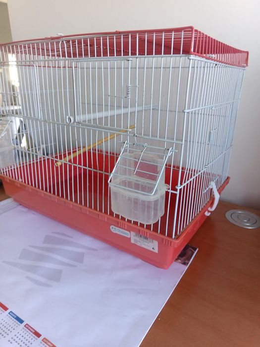 Gaiola para pássaros mais 2 comedouros/bebedouros incluídos no preço