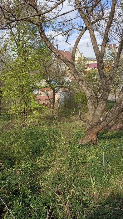 Дачний участок в передмісті Василькова