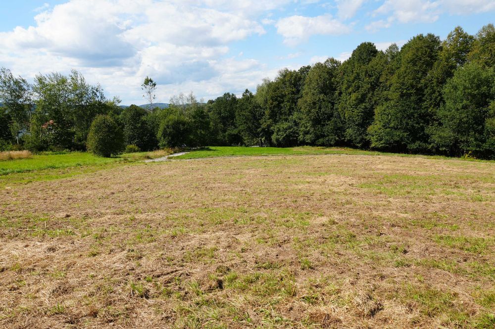 Działka lub działki budowlane Głogczów 8 arów