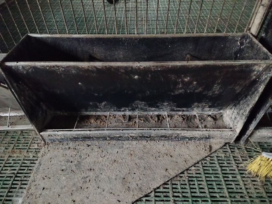 Sprzedam paśnik ładny