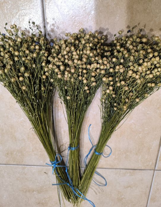 Льон просо для дідуха творчість декор