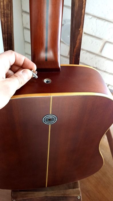 12 струнна електроакустична гітара Еко ranger custom
