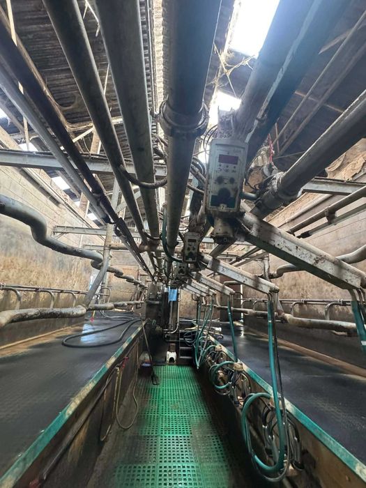 Hala udojowa Westfalia GEA 2x16 Swingover 50°