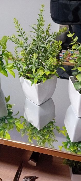 Vasos para decoração