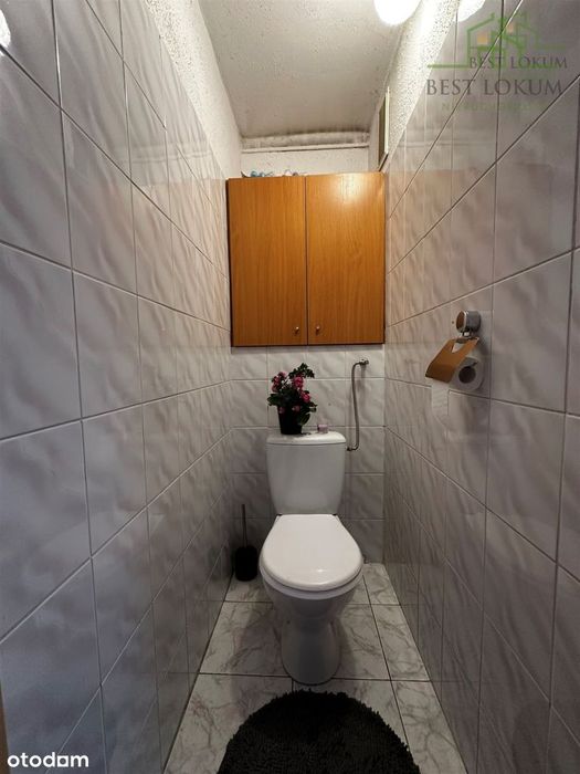 Zdjęcie 7