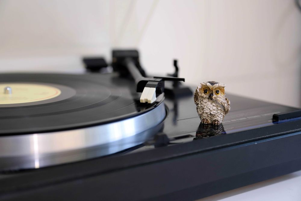 Pioneer PL-111Z Gira discos