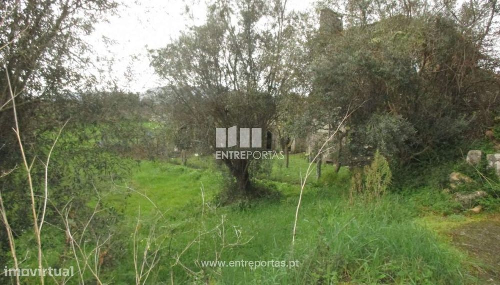 Venda de terreno com 2500m², Lanheses, Viana do Castelo — Lanheses, Viana do Castelo
