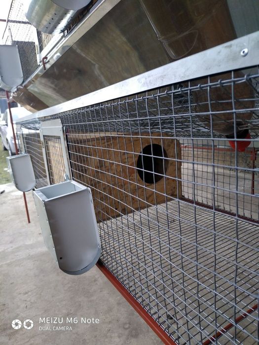 Клітка для кролів, нутрій