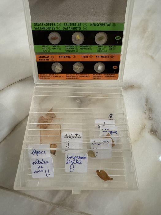 Microscópio de brincar