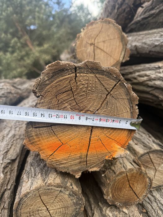 Słupki akacjowe ogrodzeniowe 240 cm