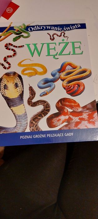 Odkrywanie świata Węże