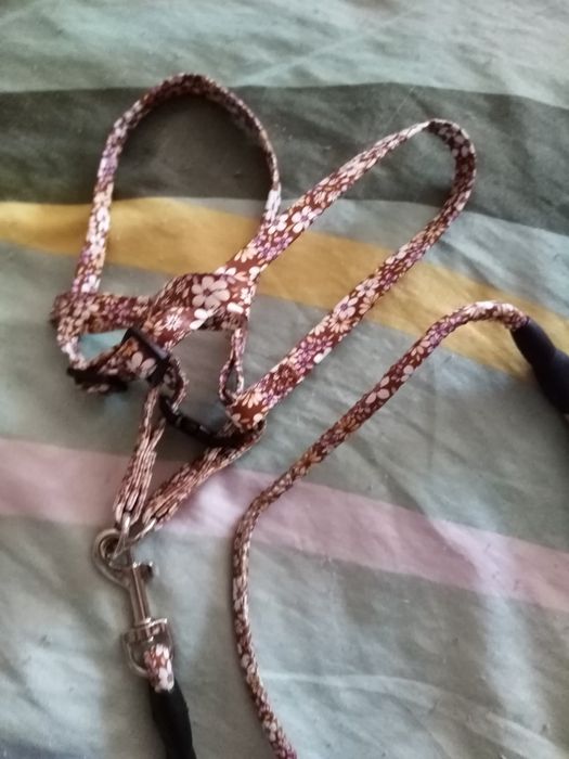 Поводок для кота, кошки новый