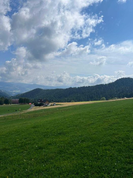 Działka 2480 m² | Piwniczna-Zdrój | Sucha Dolina | wyjątkowy widok - Widok 2