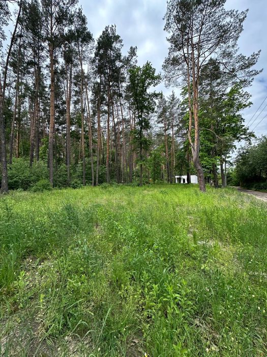 Ділянка з прямим виходом в ліс. Закрите містечко