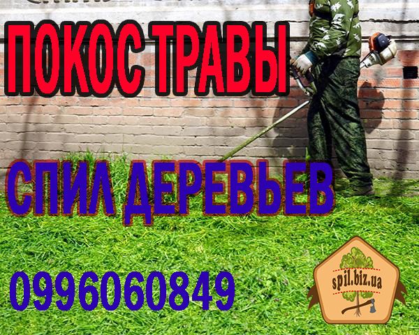 Спил дерев.Покос трави Професійна обрізка дерев Розчистка ділянки .Вивіз