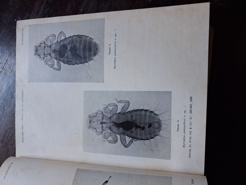 Garcia de Orta Revista das juntas missões Ultramar