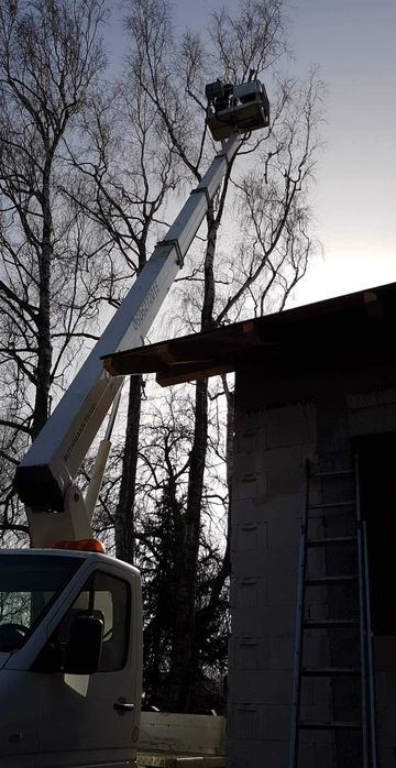 Wycinka drzew, czyszczenie działek, rębak do gałęzi, mulczer