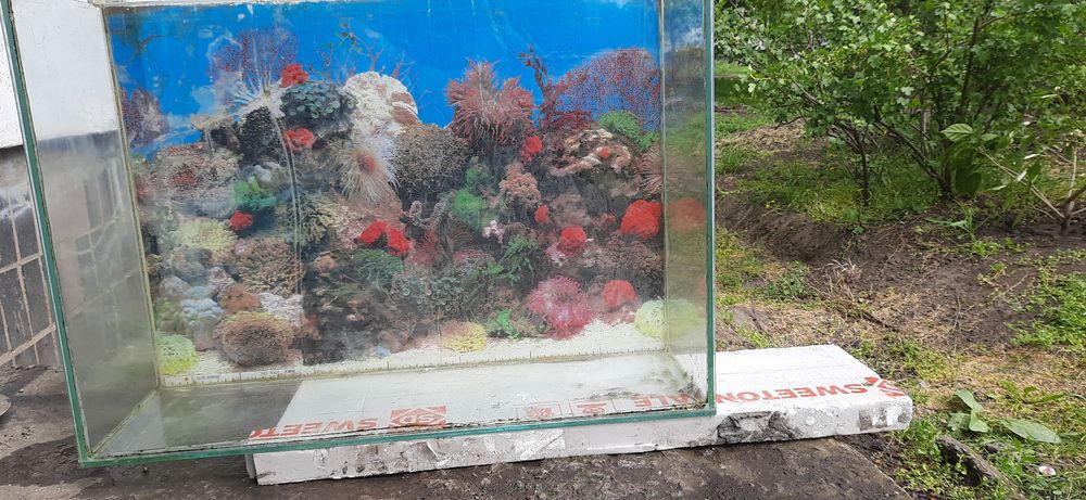 Аквариум-ваш волшебный мир. Цена 20грн/литр