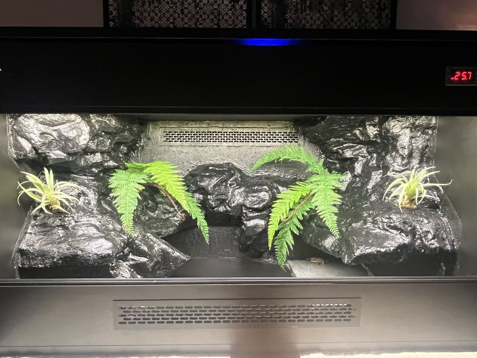 Terrarium na zamowienie.