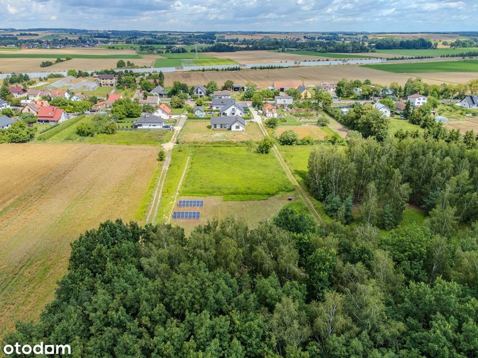 Dwie wyjątkowe działki / 4408 m² / Budziwojowice / gm. Długołęka - Widok 5