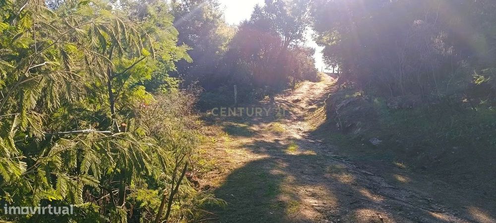 Terreno agrícola em solarenga encosta de Santa Marinha do Zêzere, Baiã — Santa Marinha do Zêzere, Porto