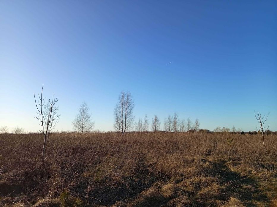 Działka z warunkami zabudowy, plan ogólny - Świeszyo - Widok 5