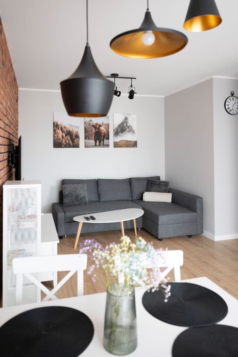 Apartament 12 Duży