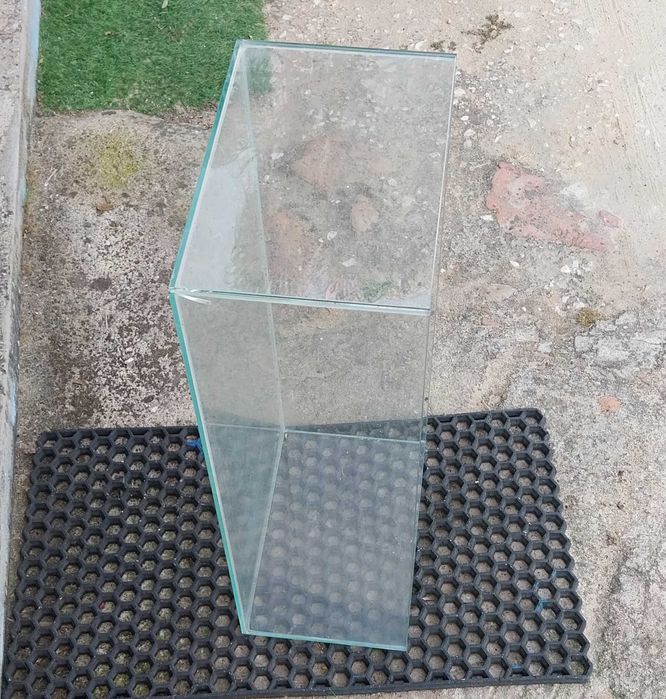 Tartarugueira L29, C59, P18