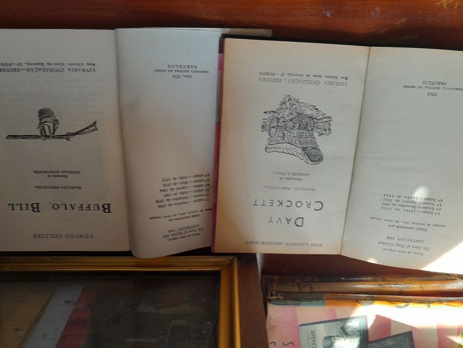 Livros  pioneiros americanos