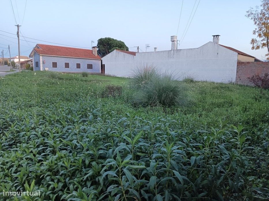 Terreno com 31m de frente para venda Bustos - Oliveira do Bairro