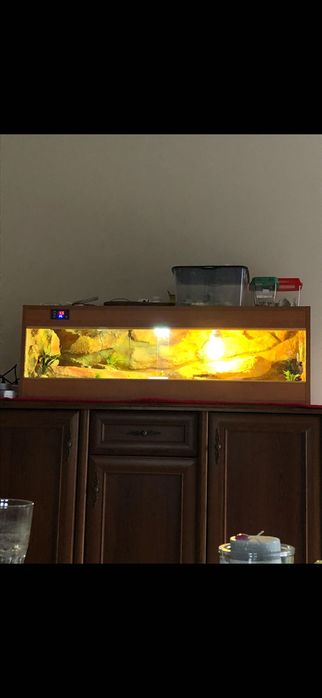 Terrarium 120x40x40