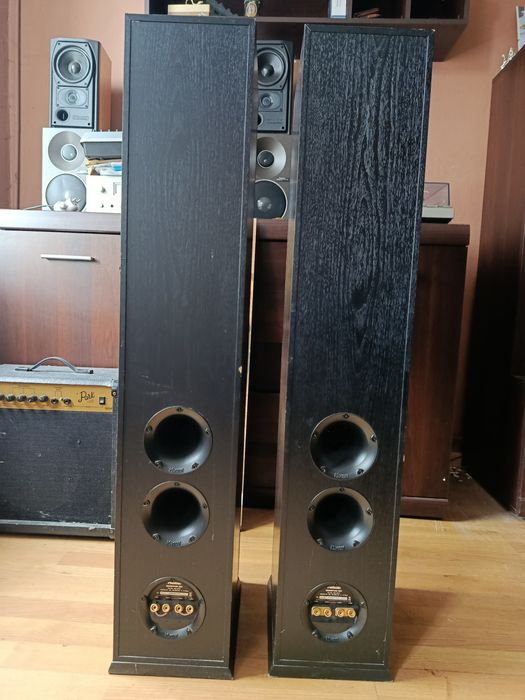 Kolumny Magnat Quantum 507