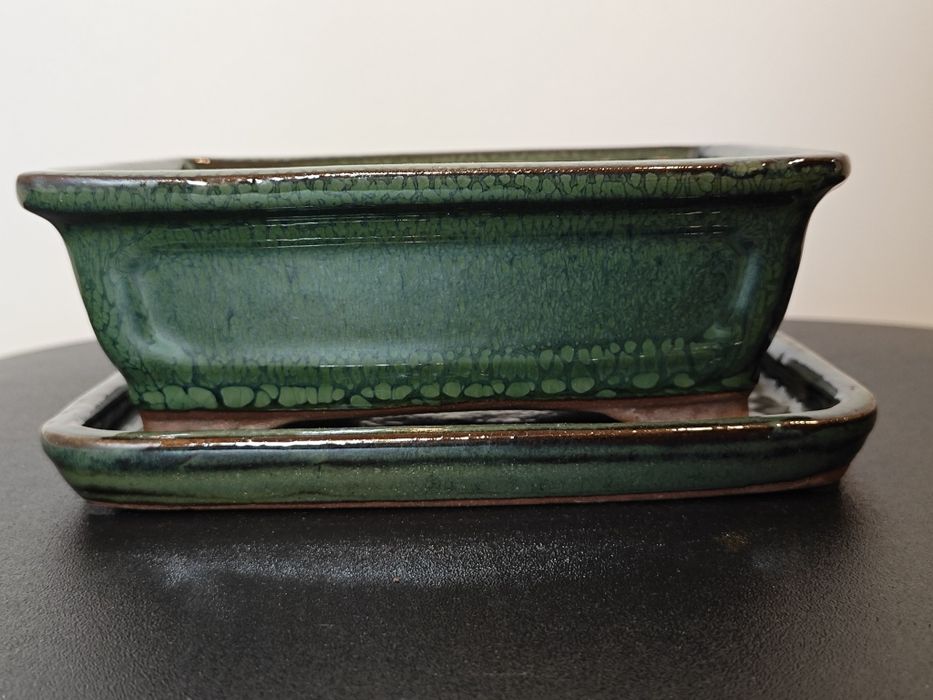 Vaso para bonsai em verde