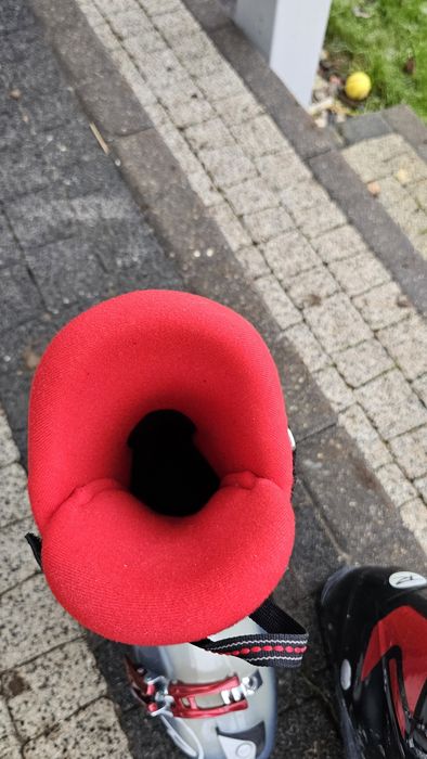 Buty Rossignol synergy sensor 2 80