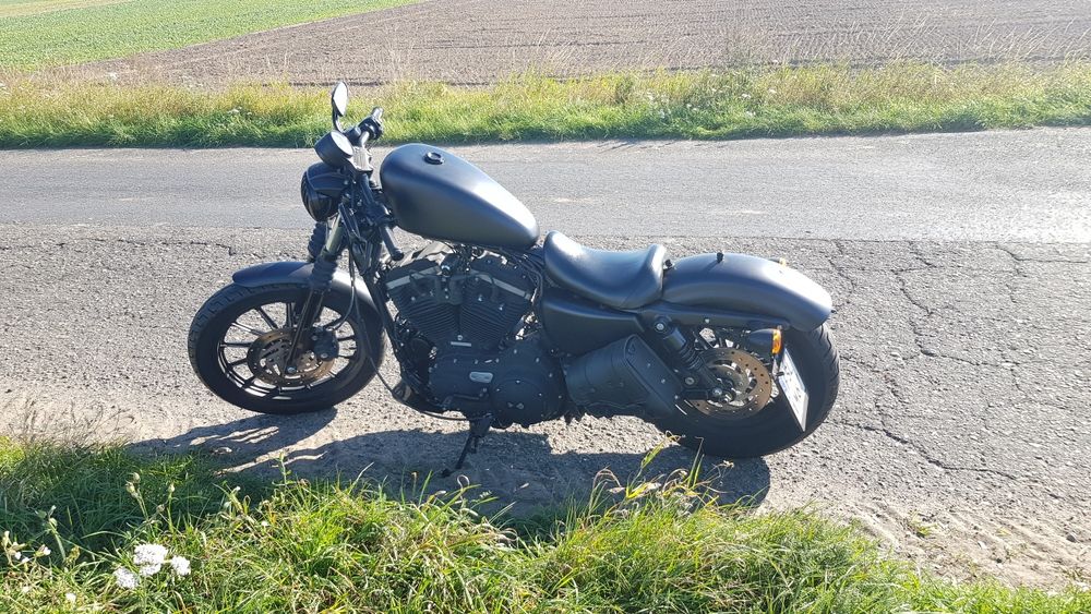 Harley Davidson Iron Sportster