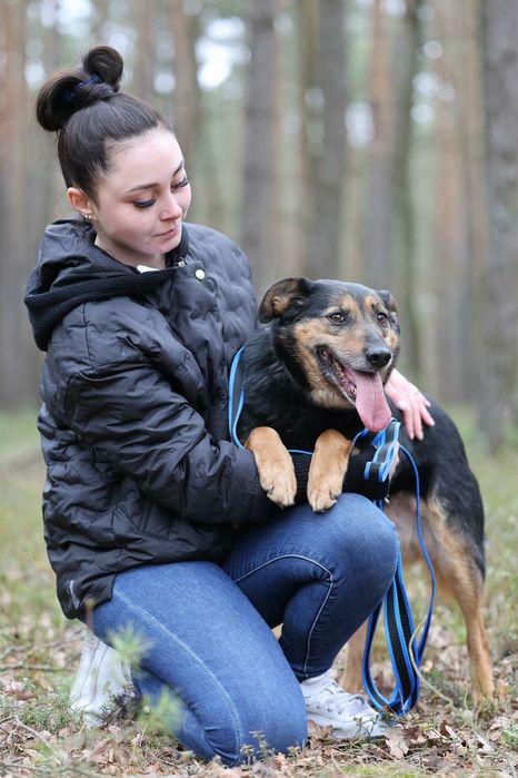 Lolo psi anioł szuka domu