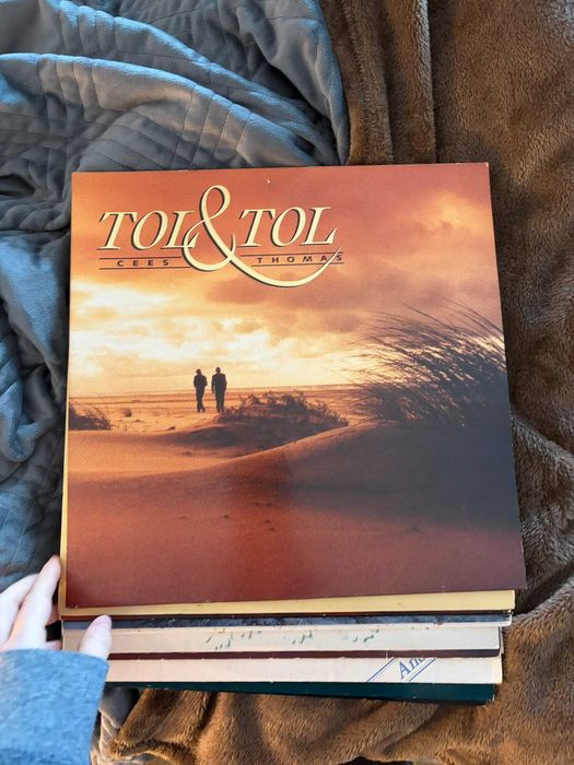 Vendo Vinis em Ótimo Estado | variados e preços negociáveis!