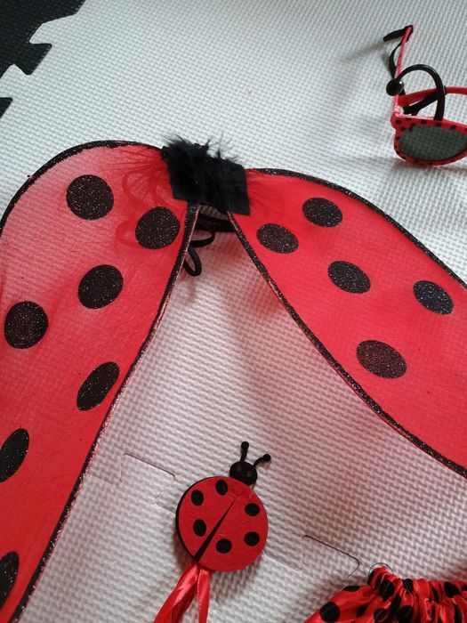 Strój przebranie biedronka