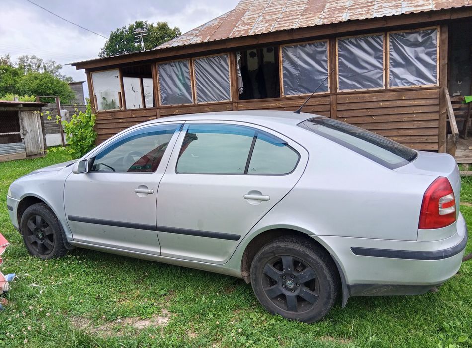 Аренда авто Skoda Octavia