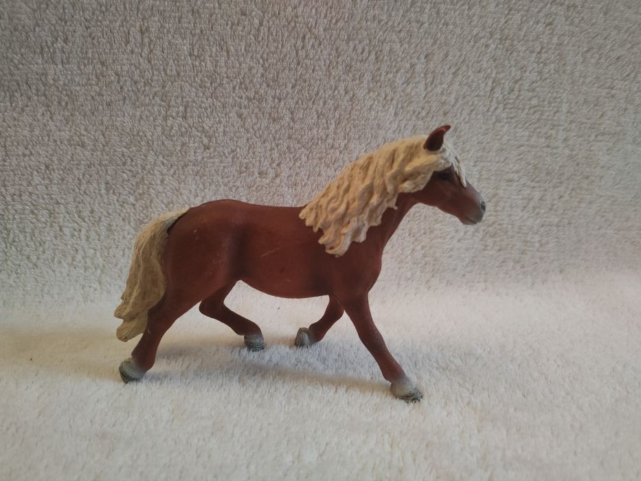 rodzina rasy haflinger schleich