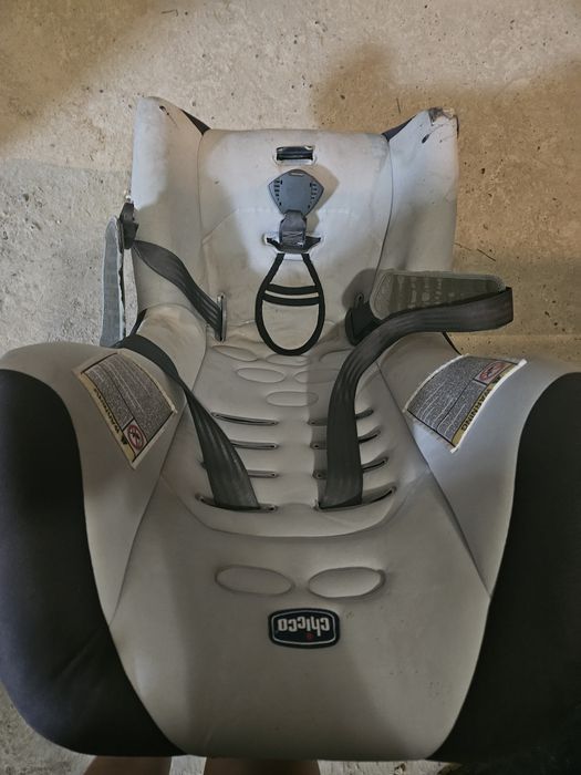 Стульчик Chico .