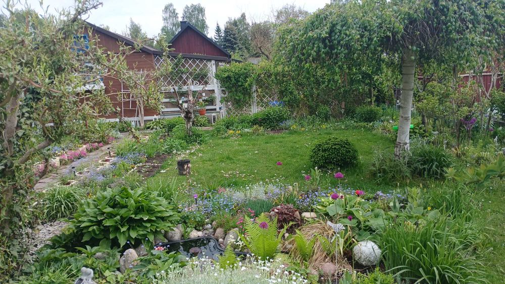 Działka Rod ,,źródełko "" - Widok 3