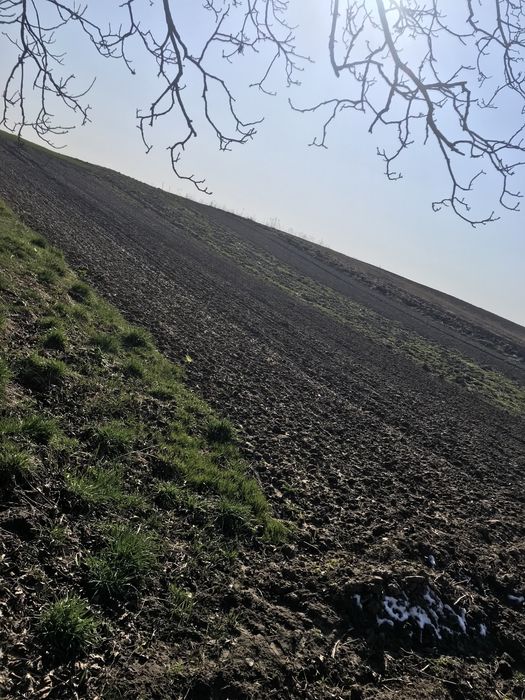 Продаж будинку с. Нагірці