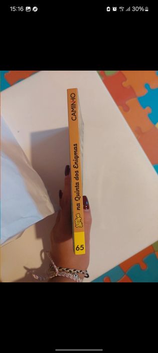 Livro: uma aventura na quinta dos enigmas