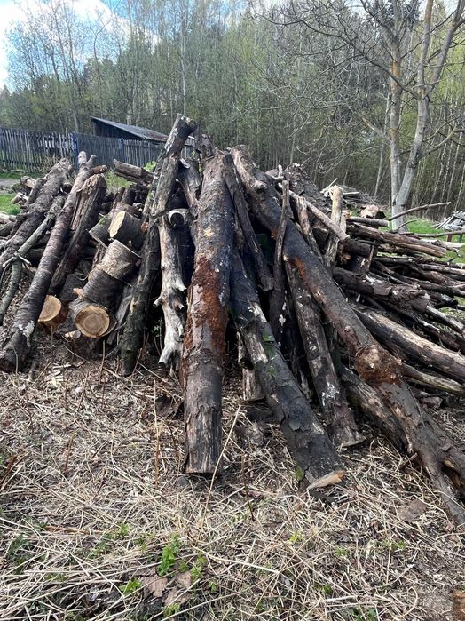 DREWNO OPAŁOWE sezonowane; klonowe oraz dębowe